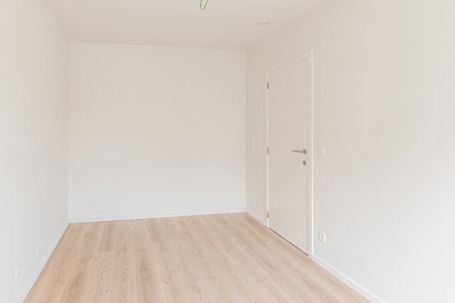Lot 12 10