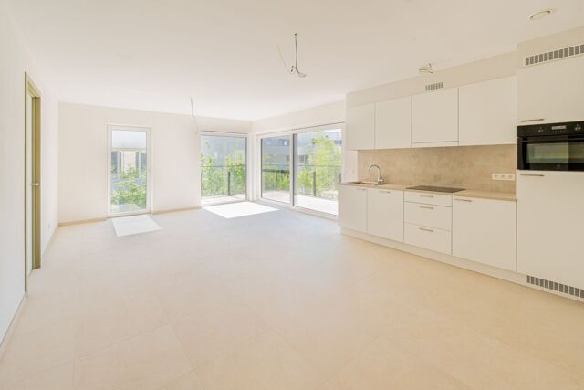 HET DORP - 0.3 6