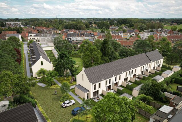 ESDOORN W6 1