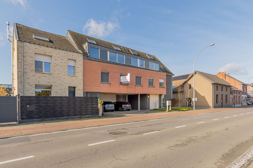 2830 Willebroek Blaasveld - Mechelsesteenweg 350A bus 101 16